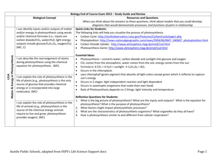 Biology eoc study guide pdf