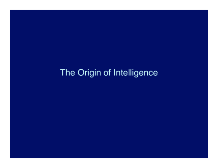 The origin of intelligence studysync