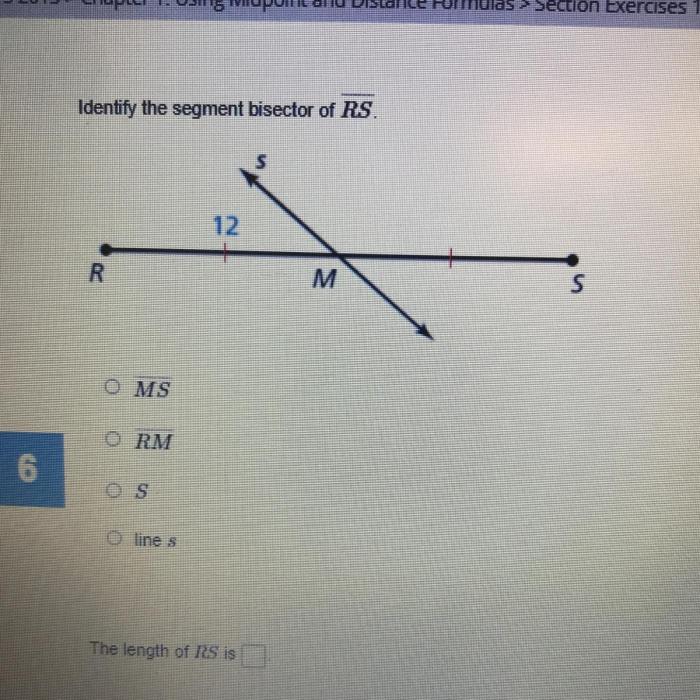 Identify the segment bisector of rs