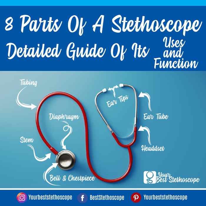 Stethoscope parts diagram stethoscopes simple diaphragm made does work piece littmann plastic its which rubber used two materials raw