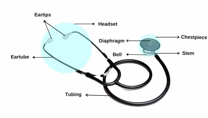 Parts of stethoscope and their functions