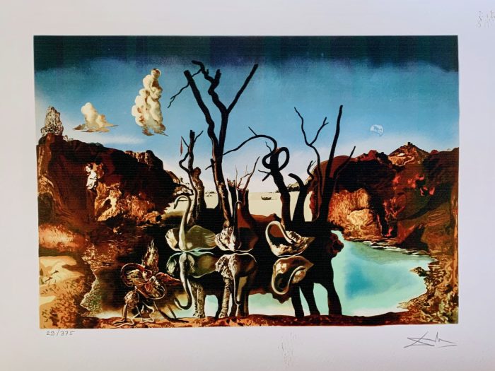 1937 elefanti elefantes elephants cigni riflettono dali reflecting swans cisnes elefanten reflexo spiegeln schwäne allposters 1906 dalí wider