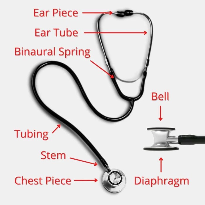 Parts of stethoscope and their functions