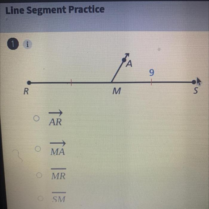 Identify the segment bisector of rs