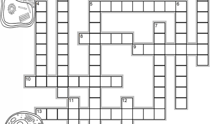 Cell organelles crossword answer key