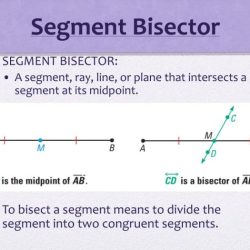 Bisector segment perpendicular socratic