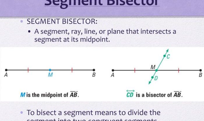 Bisector segment perpendicular socratic