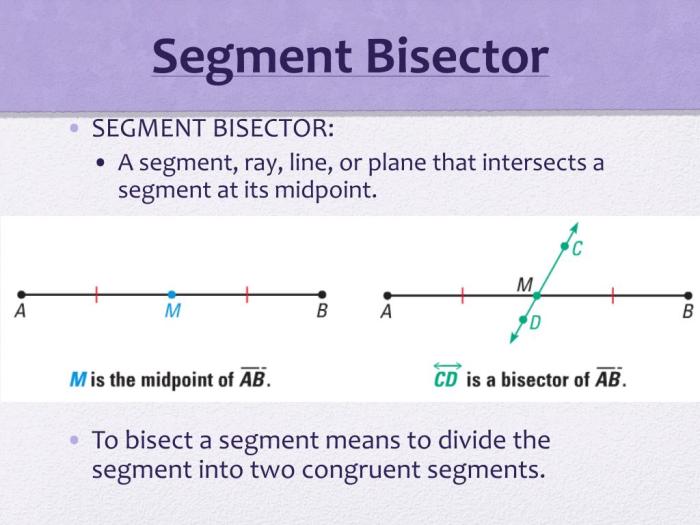 Bisector segment perpendicular socratic