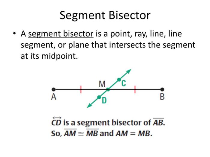 Segment bisector bisectors midpoint intersects