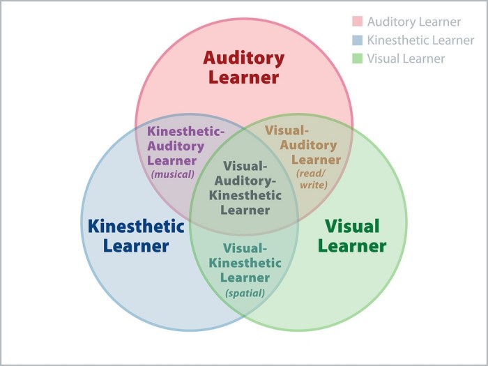 Learning styles