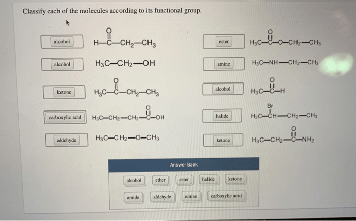 Classify each of the molecules according to its functional group.