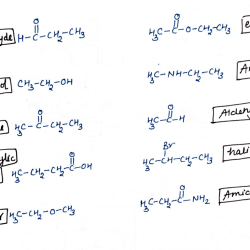 Molecules classify according following each functional group their